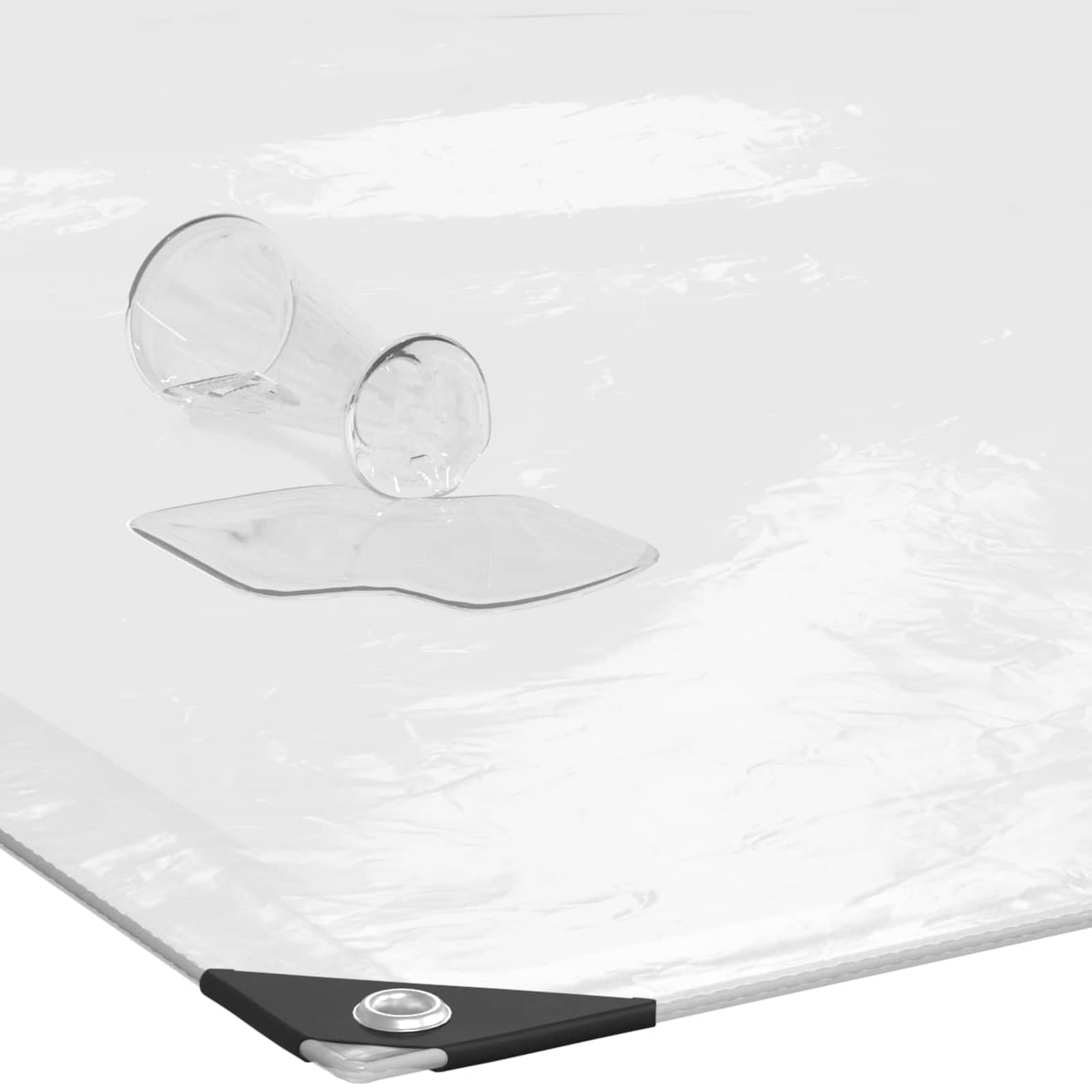 Copertura per Piante Trasparente 6 x 1,5 m PE