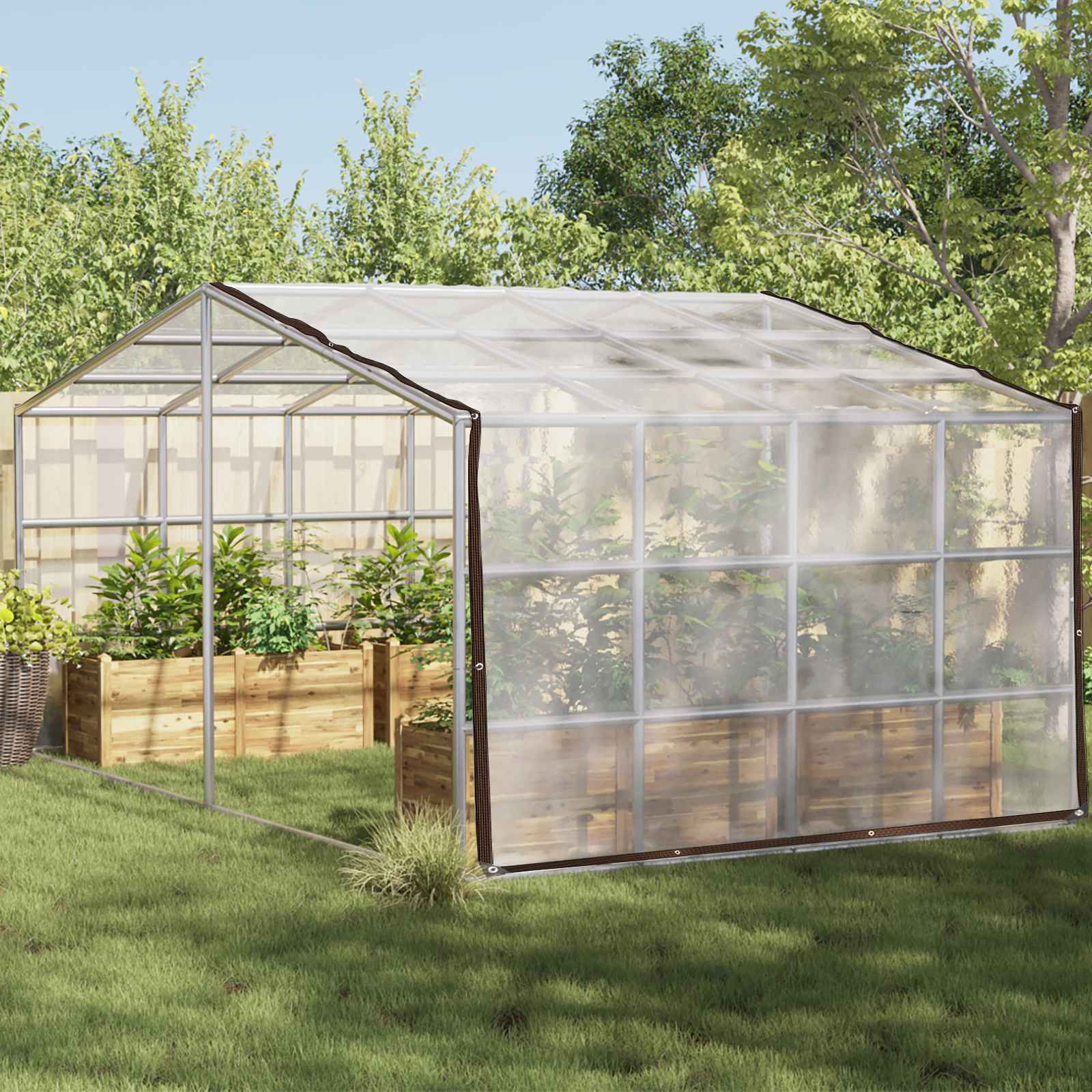 Copertura per Piante Trasparente 4 x 4 m PE