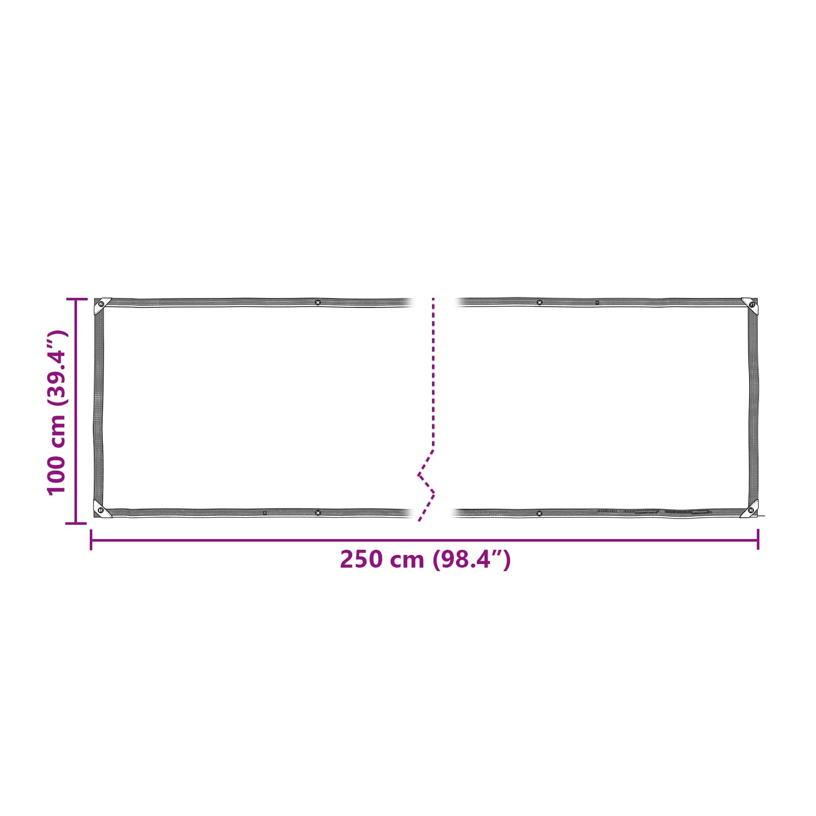 Copertura per Piante Trasparente 2,5 x 1 m PE