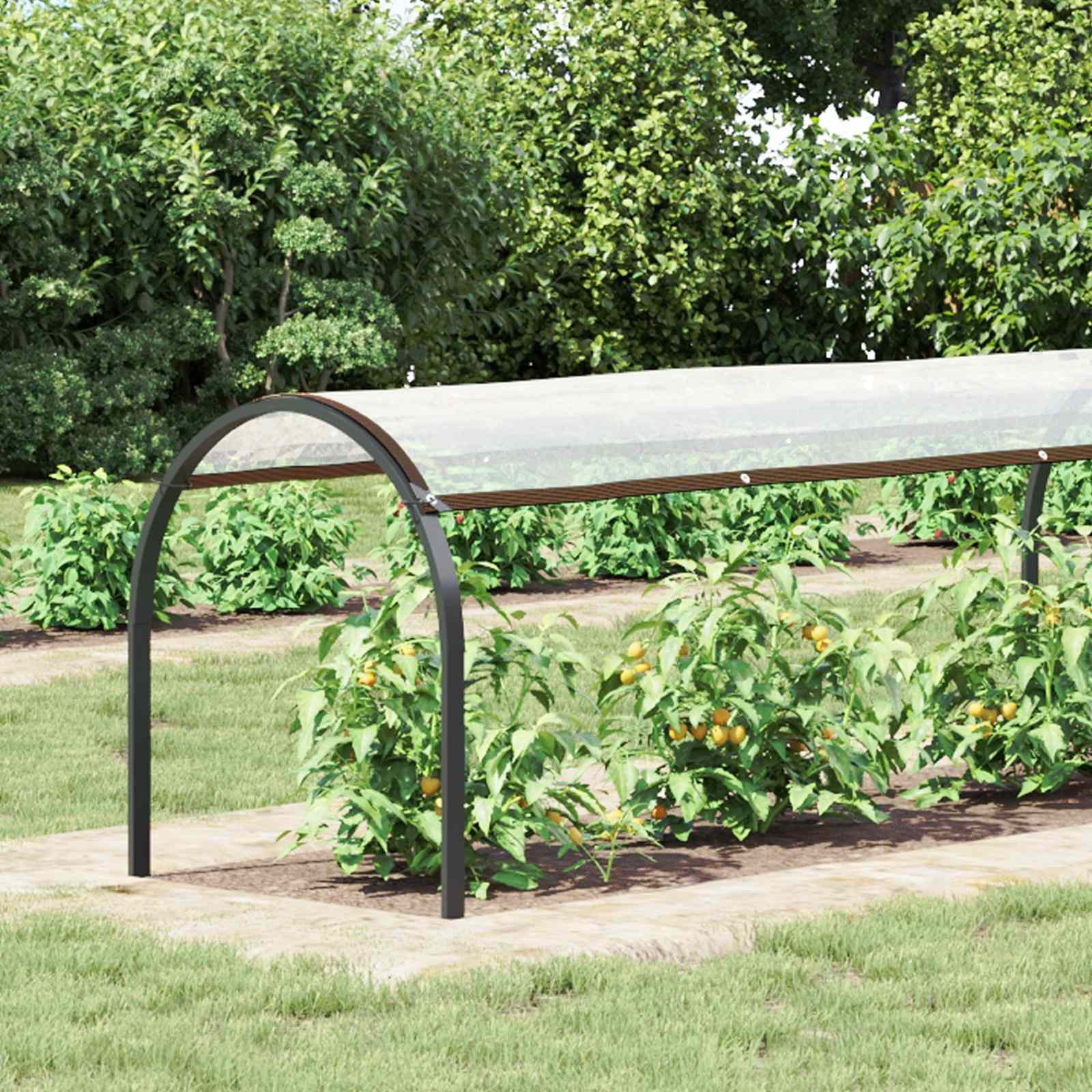 Copertura per Piante Trasparente 6 x 1,5 m PE