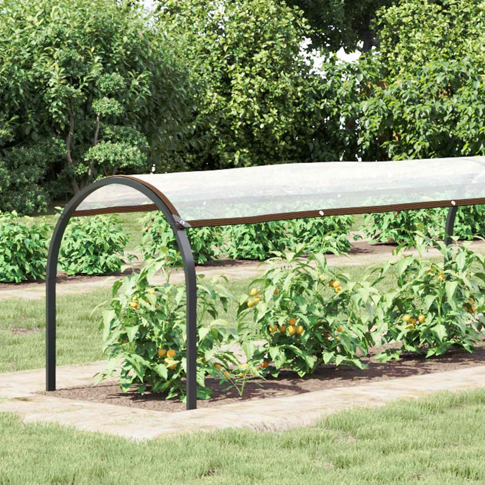 Copertura per Piante Trasparente 10 x 1,5 m PE