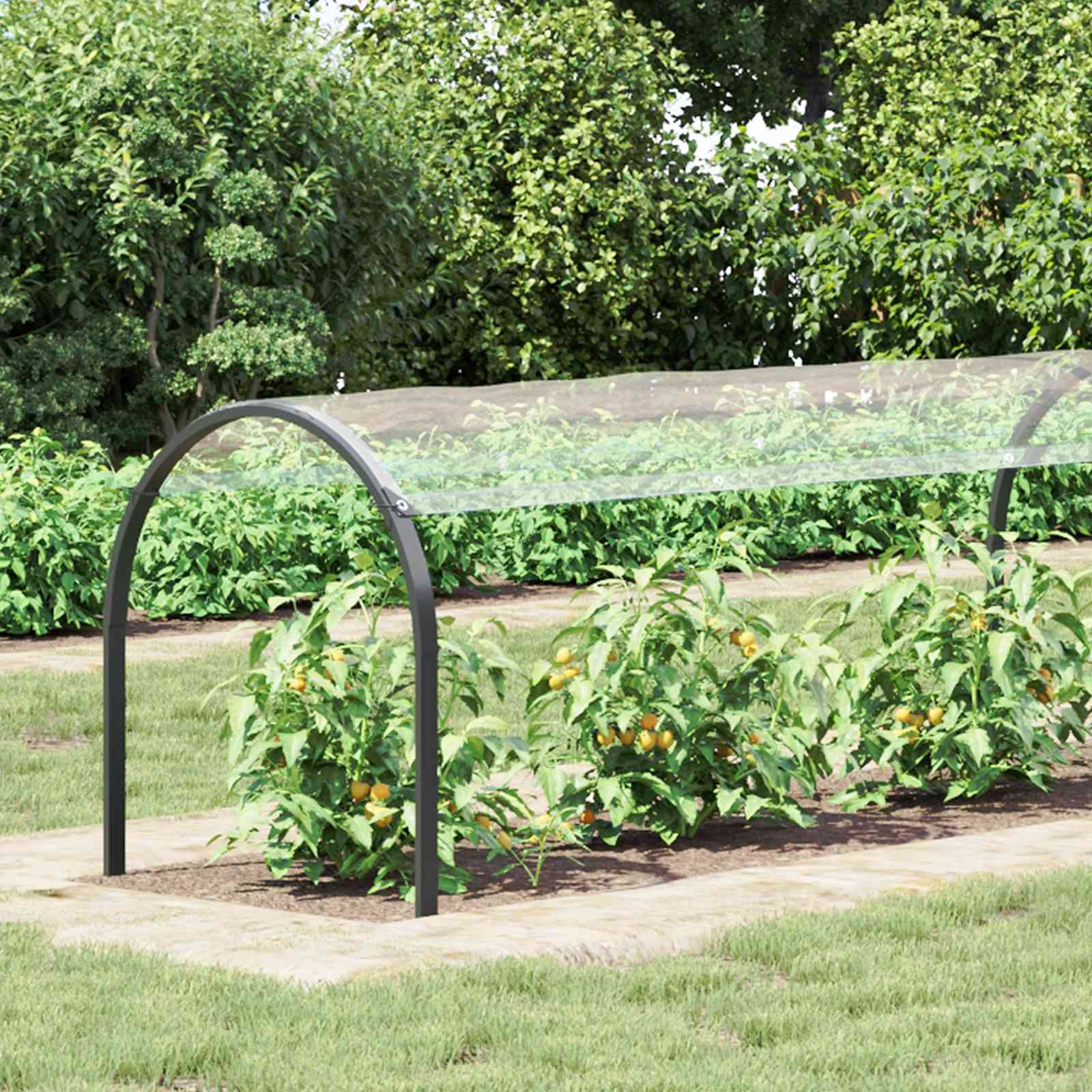 Copertura per Piante Trasparente 1 x 12 m PVC