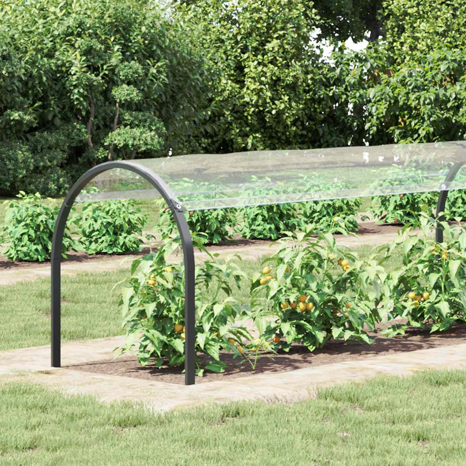 Copertura per Piante Trasparente 6 x 1,5 m PVC