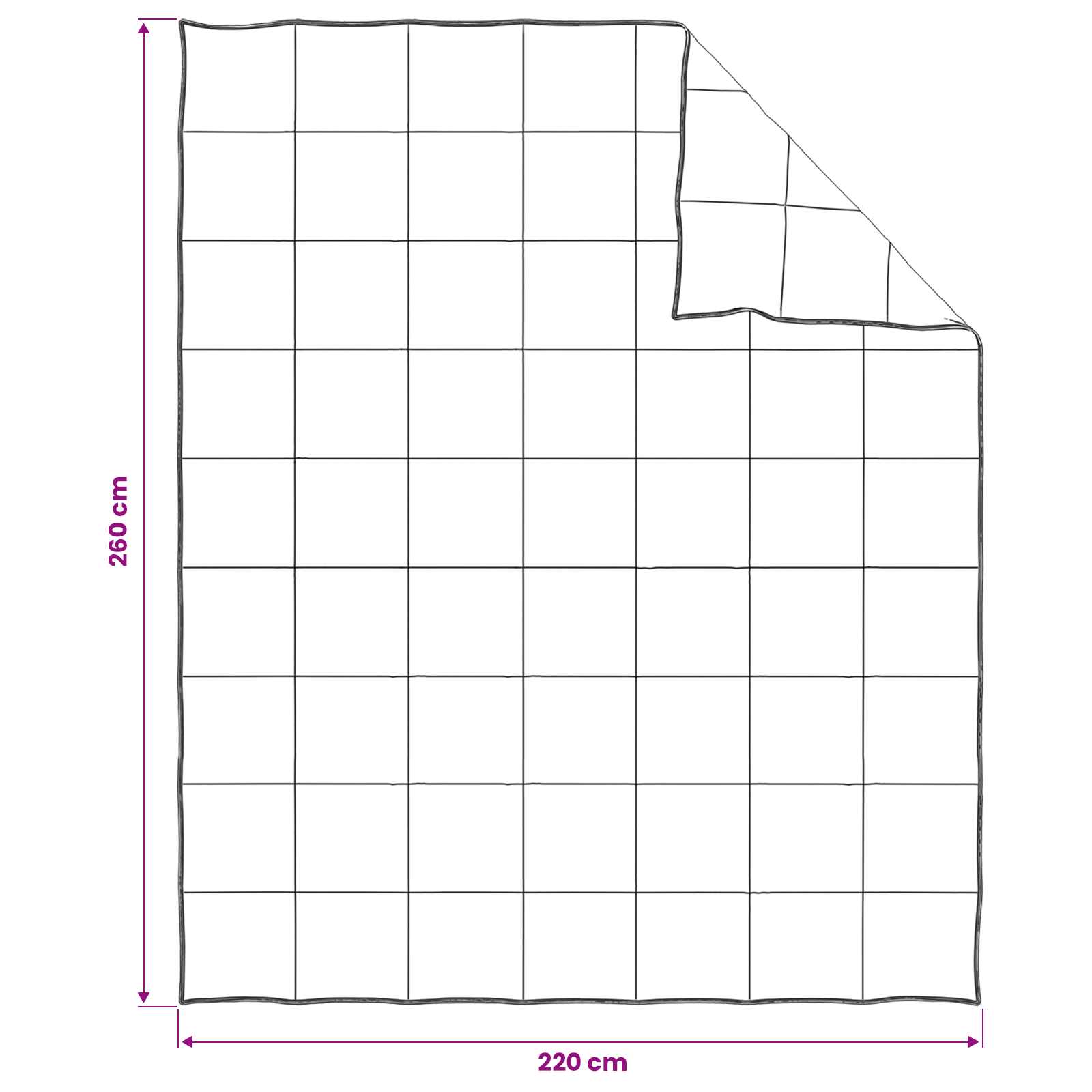 Set di Piumoni 2 pz 260 x 220 cm Tutte le stagioni Beige