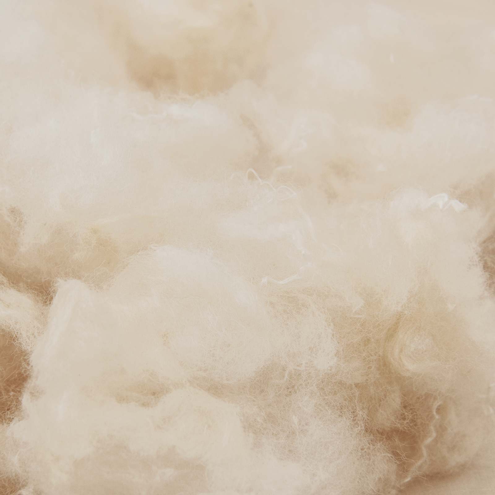 Set di Piumoni 2 pz 260 x 240 cm Kapok e Poliestere Beige