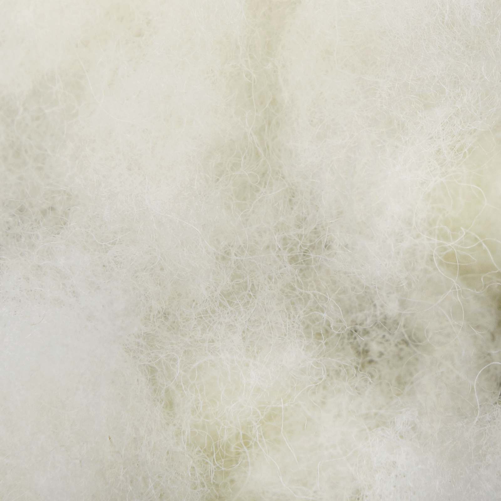 Set di piumone e cuscini 3 pz 220x260 cm Inverno 450 GSM Lana