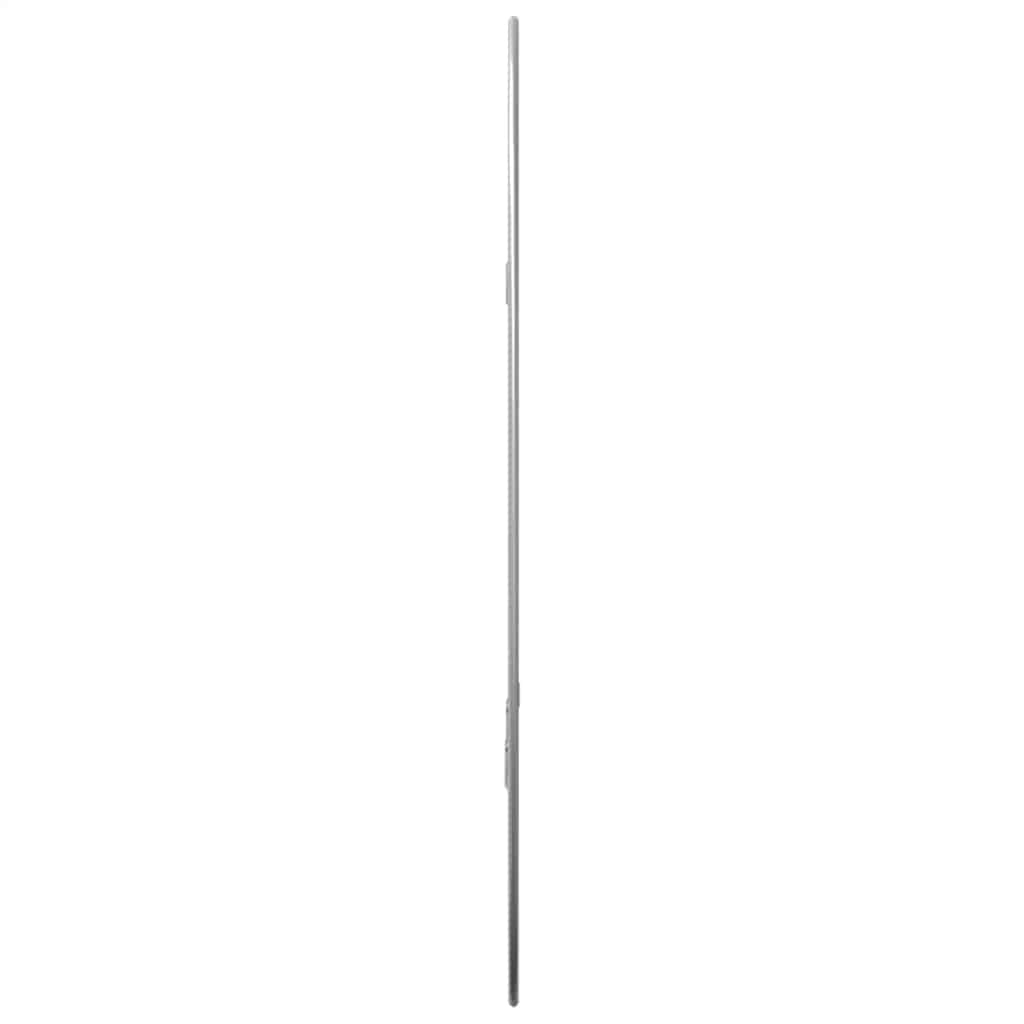 Specchio da Parete Argento 60x40 cm