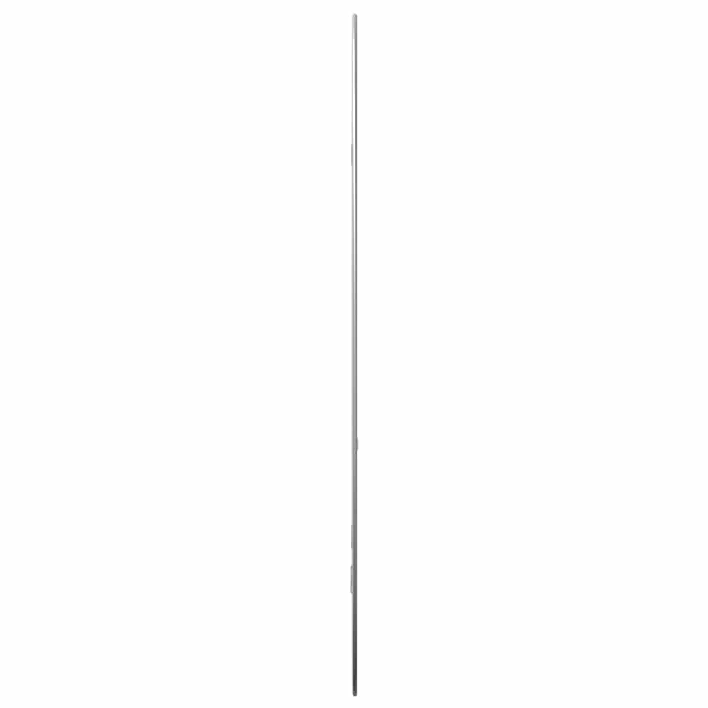Specchio da Parete Argento 80x50 cm