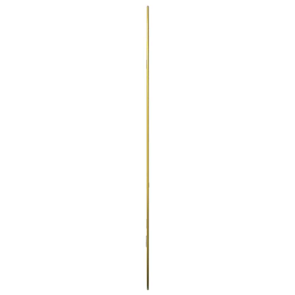 Specchio da Parete Dorato 80x50 cm