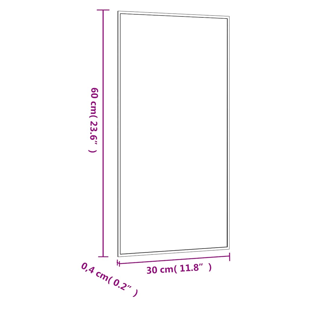 Specchio da Parete 30x60 cm Vetro Rettangolare