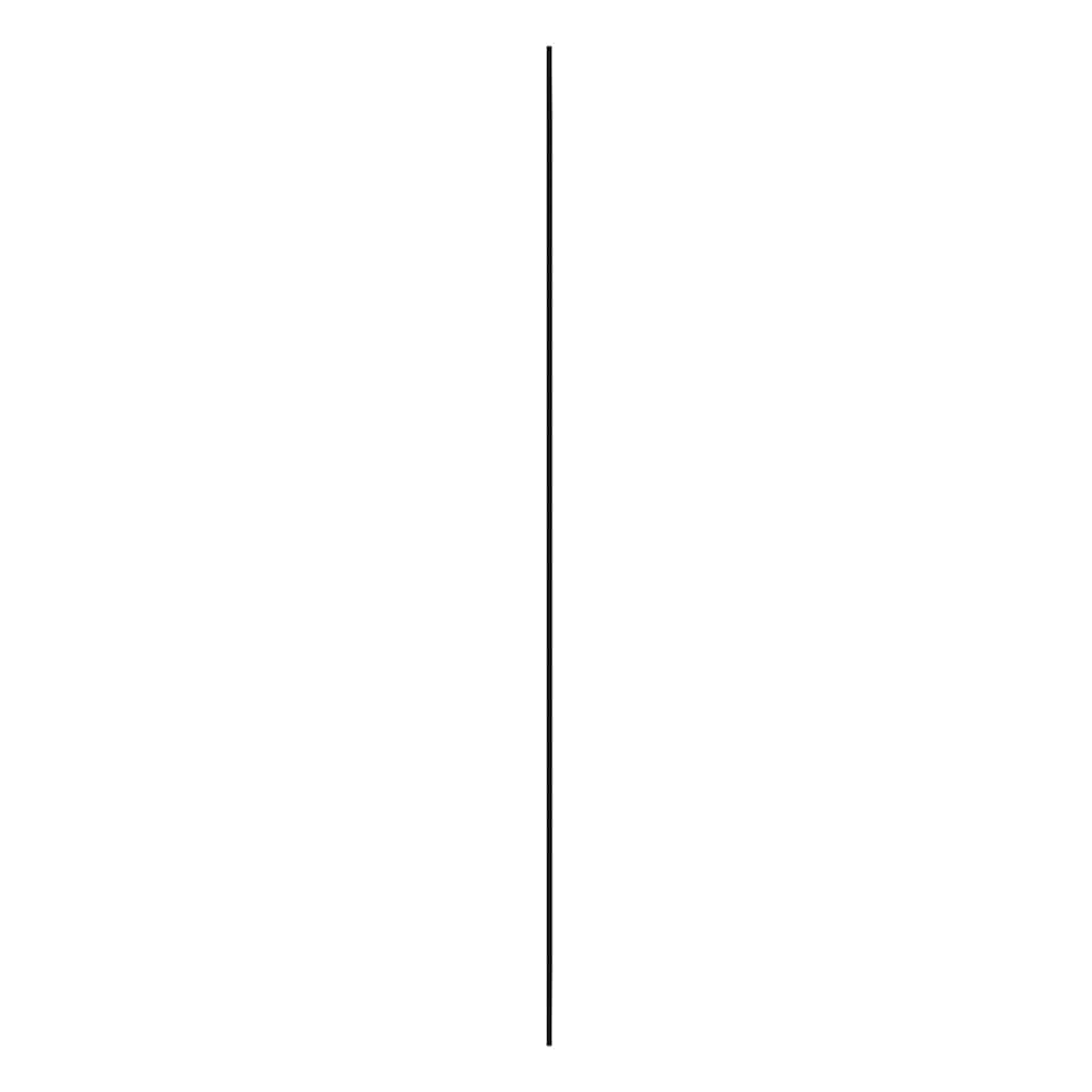 Specchio da Parete 30x100 cm Vetro Rettangolare
