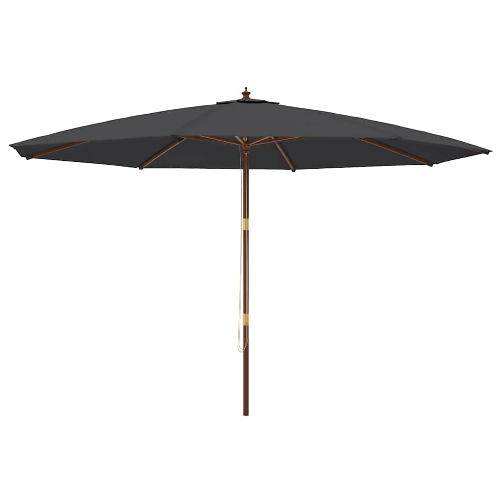 Ombrellone da Giardino con Palo in Legno Nero 400x273 cm
