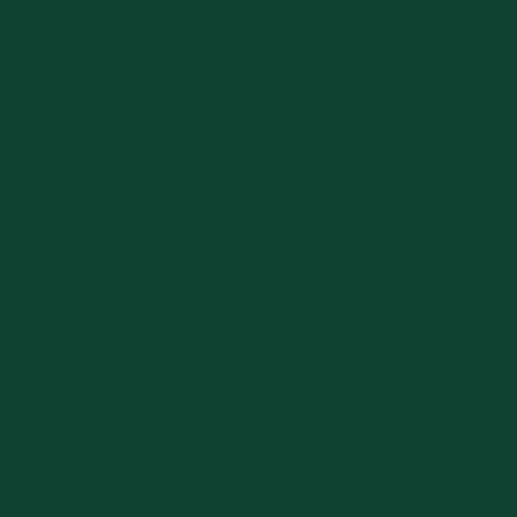 Capanno Giardino con Tetto Esteso Verde 277x107x181cm Acciaio