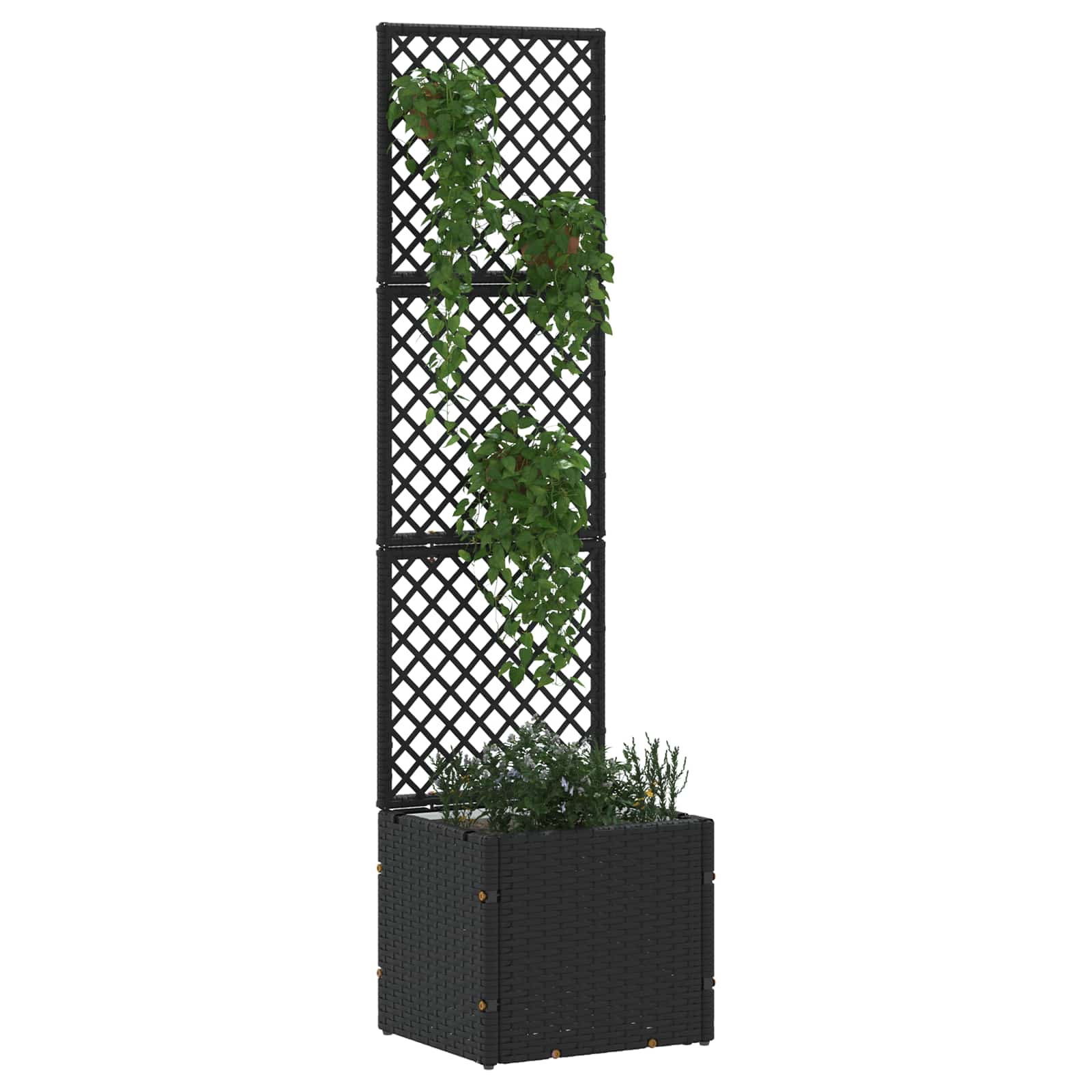 Fioriera a traliccio da giardino Nero 35 x 30 x 135 cm Metallo