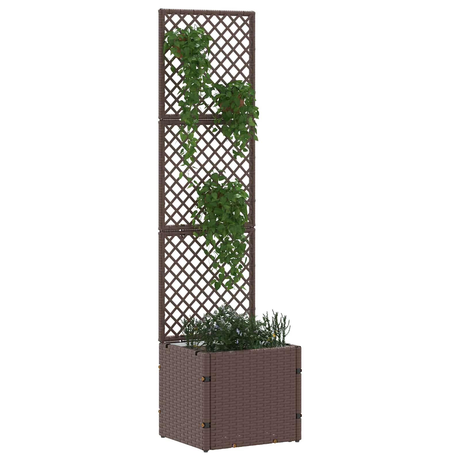 Fioriera a traliccio da giardino Marrone 35 x 30 x 135 cm