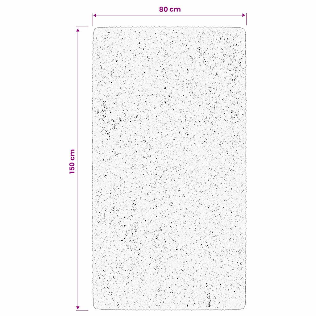 Tappeto Shaggy PAMPLONA a Pelo Lungo Moderno Antracite 80x150cm