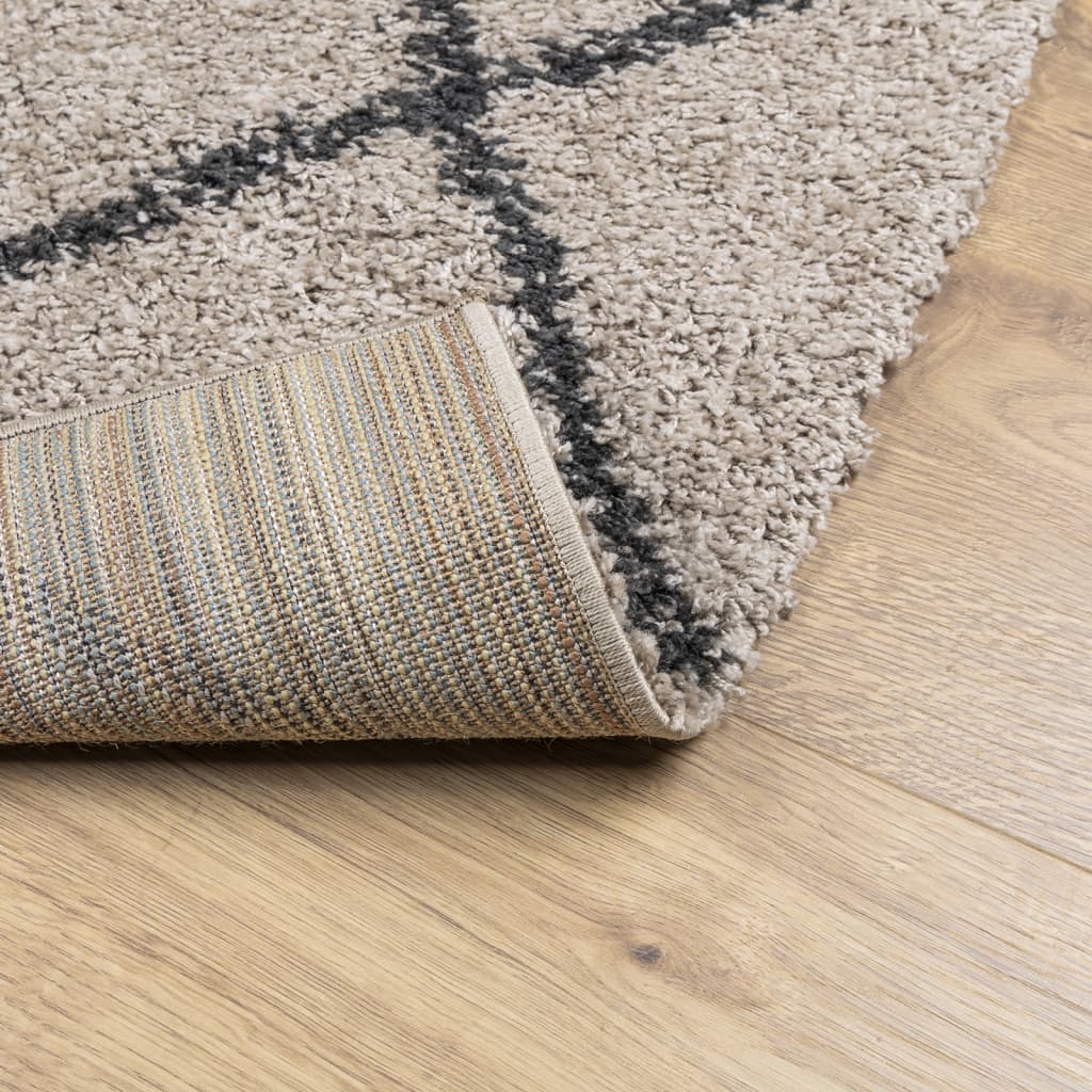 Tappeto Shaggy PAMPLONA a Pelo Lungo Beige e Antracite 80x250cm