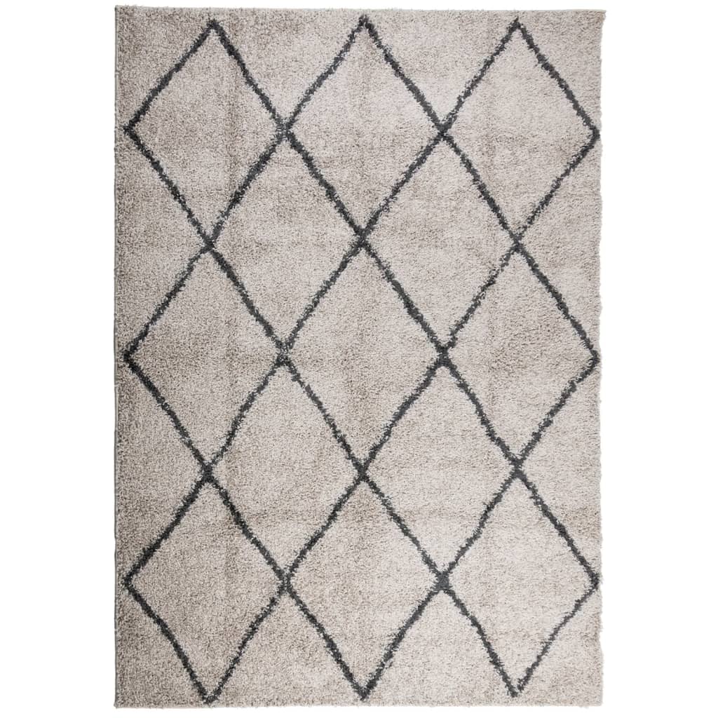 Tappeto Shaggy PAMPLONA Pelo Lungo Beige e Antracite 160x230 cm