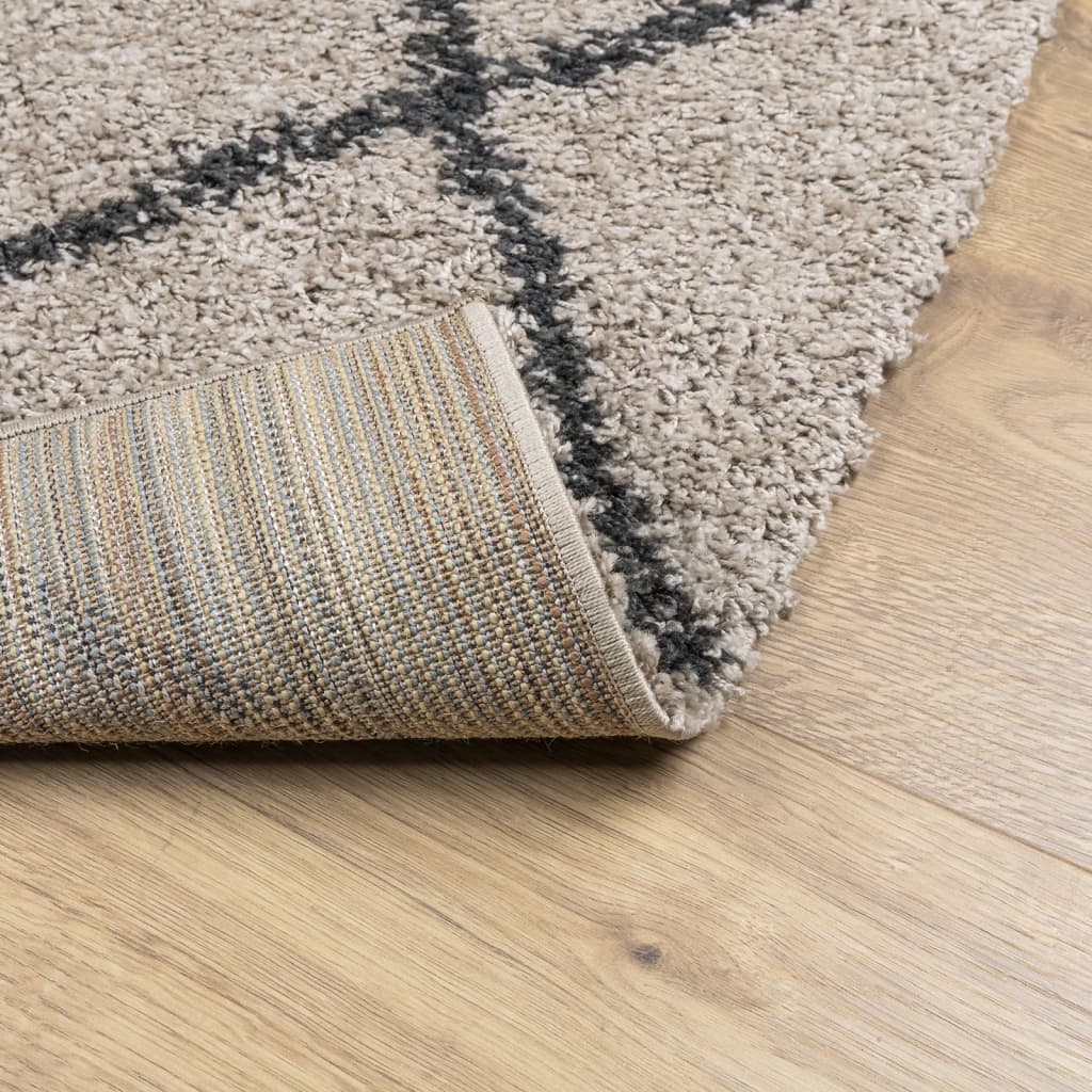 Tappeto Shaggy PAMPLONA Pelo Lungo Beige e Antracite 160x230 cm