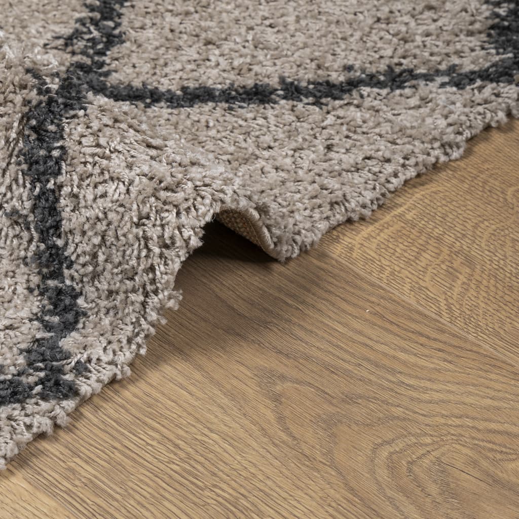 Tappeto Shaggy PAMPLONA Pelo Lungo Beige e Antracite 160x230 cm