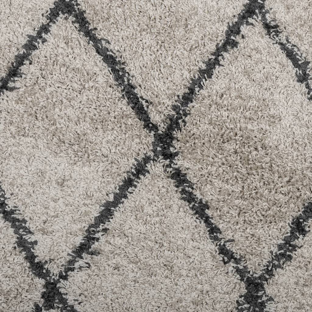 Tappeto Shaggy PAMPLONA Pelo Lungo Beige e Antracite 160x230 cm