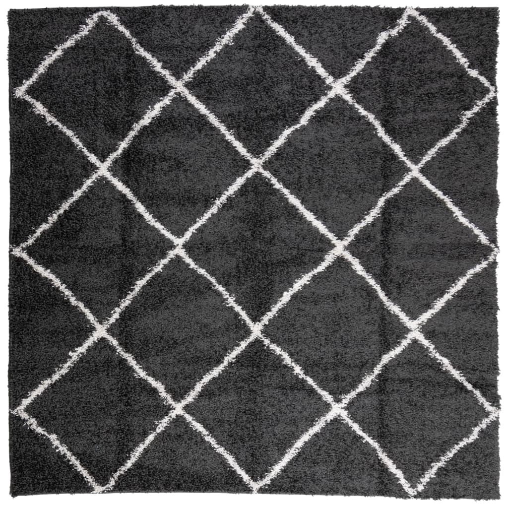 Tappeto Shaggy PAMPLONA a Pelo Lungo Nero e Crema 160x160 cm
