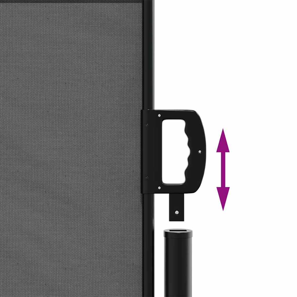 Tenda da sole laterale retrattile antracite 100x300 cm