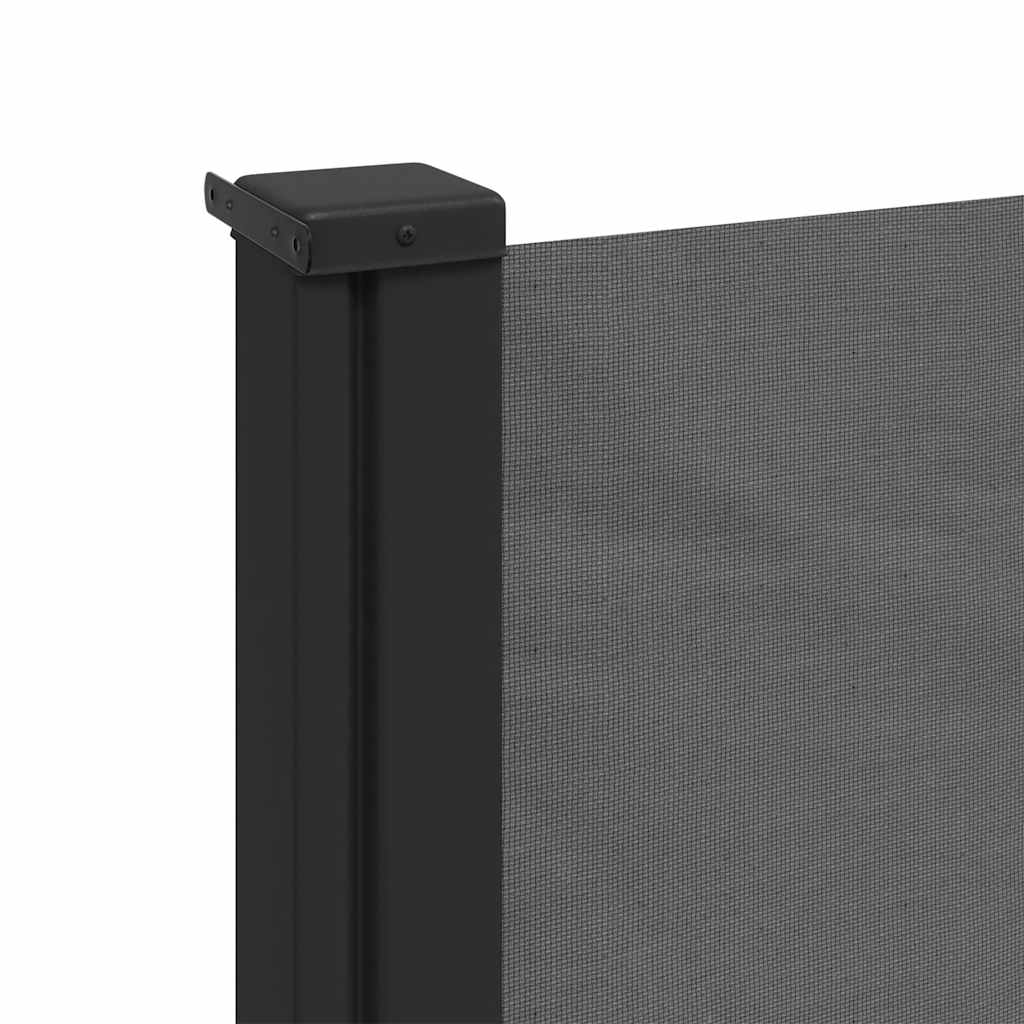 Tenda da sole laterale retrattile antracite 100x300 cm