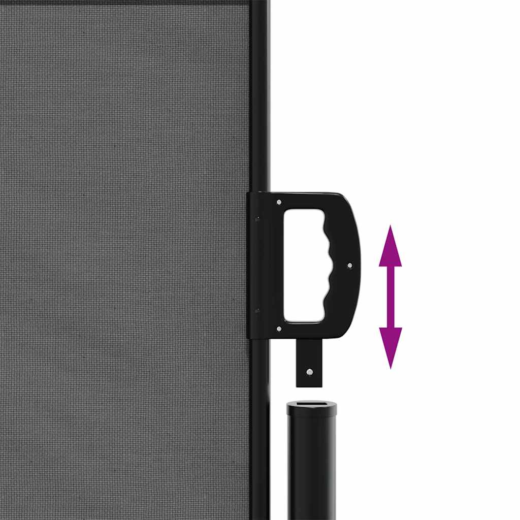 Tenda da sole laterale retrattile antracite 140x300 cm