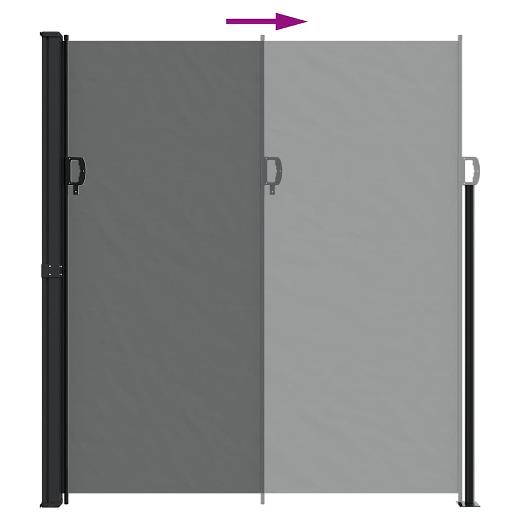 Tenda da sole laterale retrattile antracite 220x300 cm
