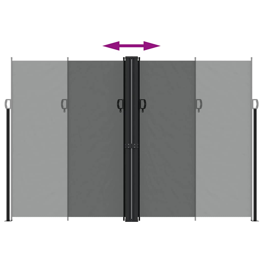 Tenda da Sole Laterale Retrattile Antracite 220x1000 cm
