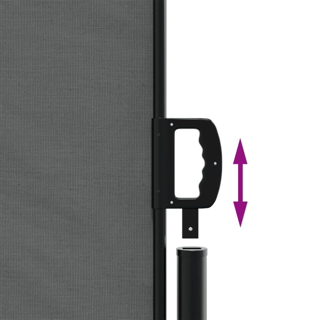 Tenda da Sole Laterale Retrattile Antracite 180x1200 cm