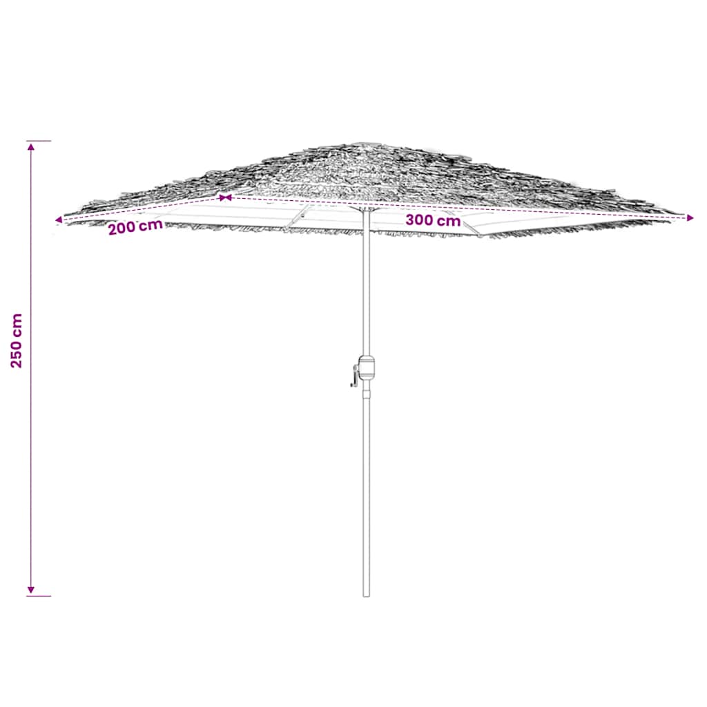 Ombrellone Giardino con Palo in Acciaio Marrone 300x200x250 cm