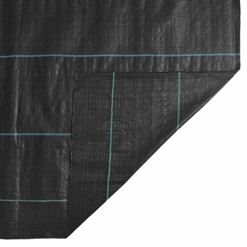 Membrana Antierbacce Nera 4x10 m in PP