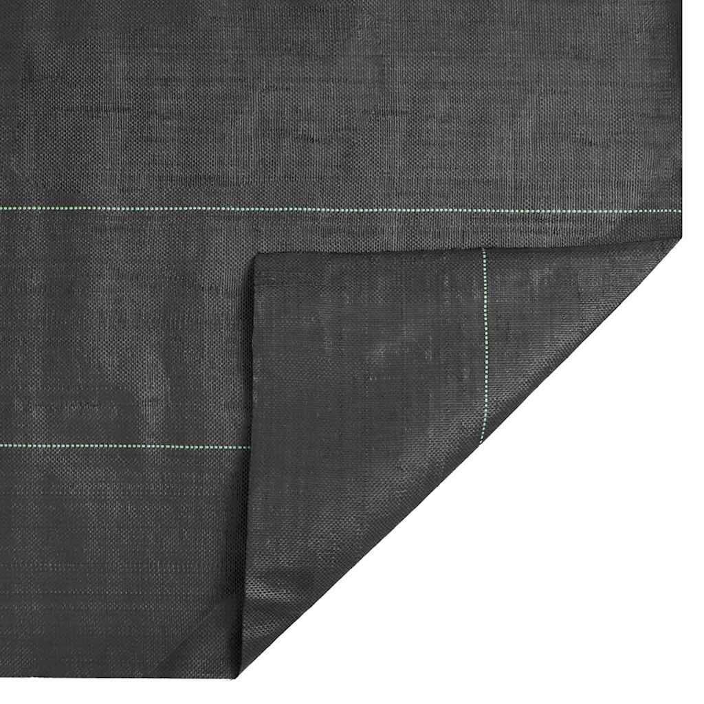 Membrana Antierbacce Nera 0,5x100 m in PP