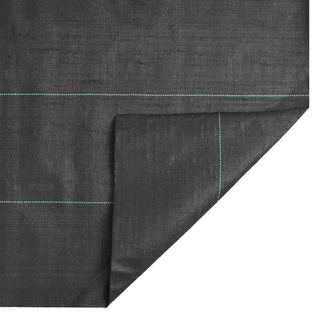 Membrana Antierbacce Nera 0,5x150 m in PP