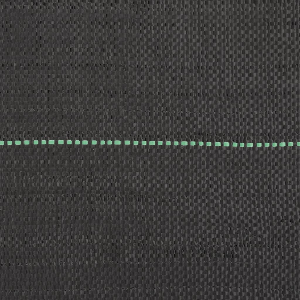 Membrana Antierbacce Nera 1x10 m in PP