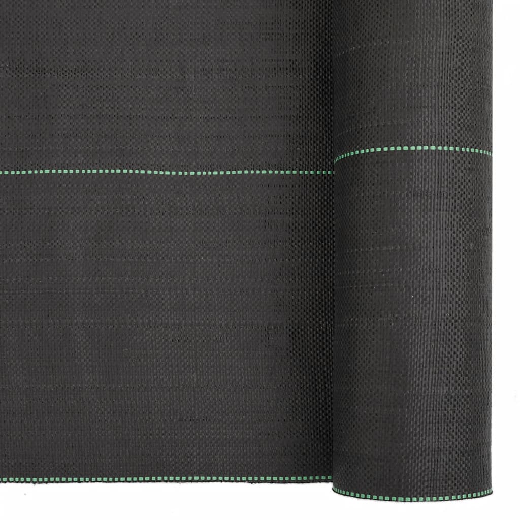 Membrana Antierbacce Nera 2x25 m in PP