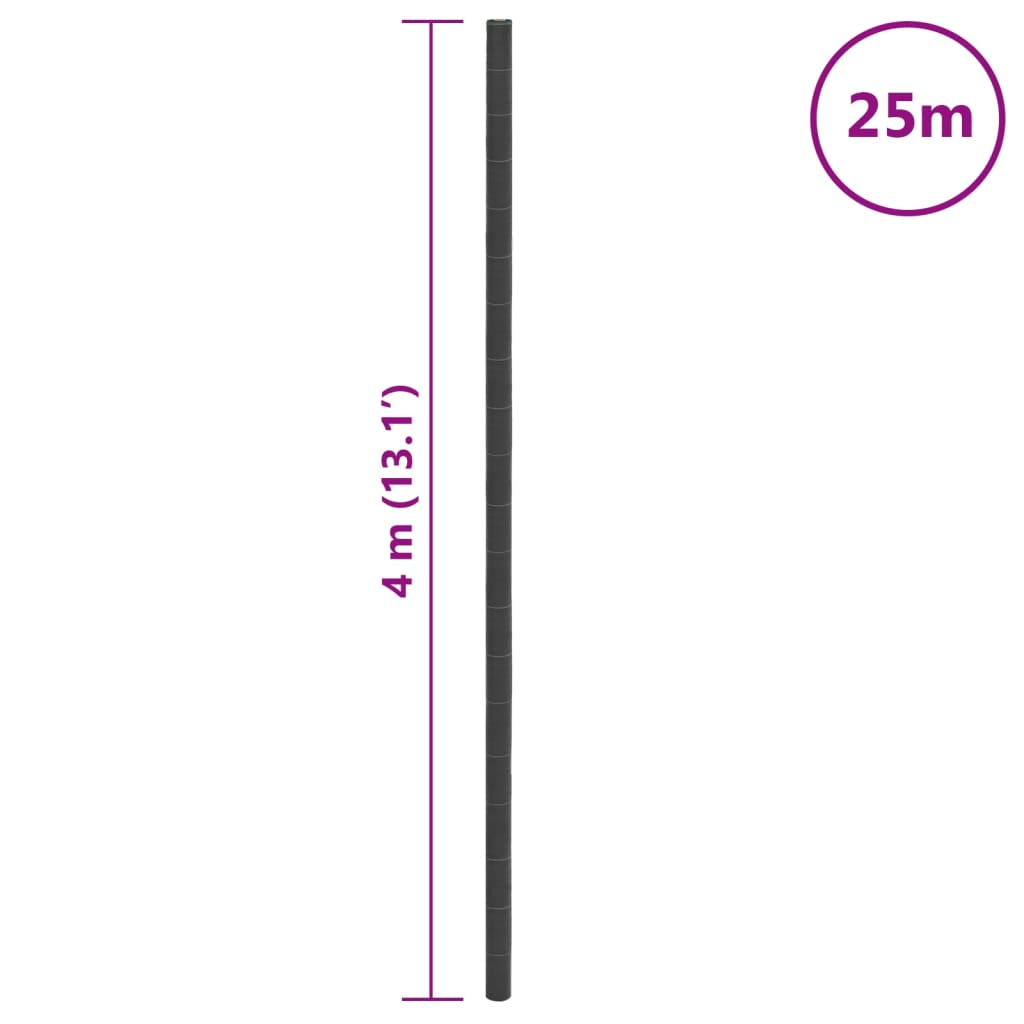 Membrana Antierbacce Nera 4x25 m in PP
