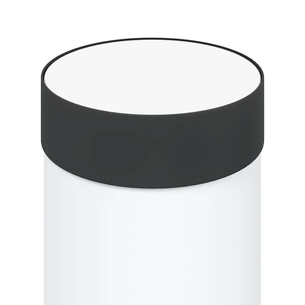 Lampada a paletto con sensore 110 cm Acciaio Inox IP44