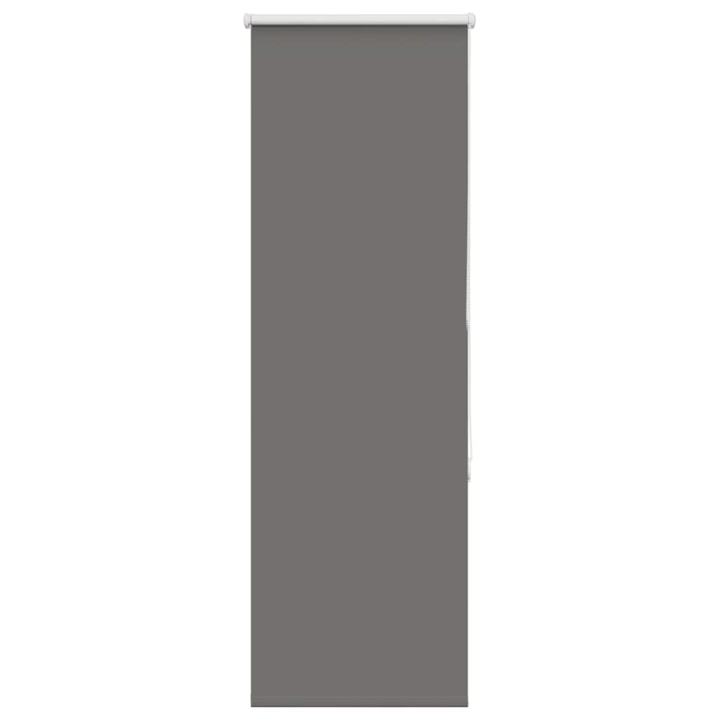 Tenda a Rullo Oscurante 55x150 cm Larghezza Tessuto 50,7 cm