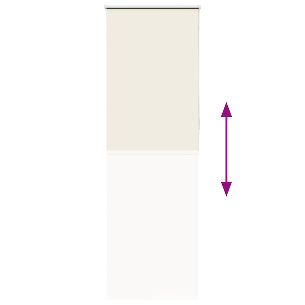 Tenda a Rullo Oscurante 70x230 cm Larghezza Tessuto 65,7 cm