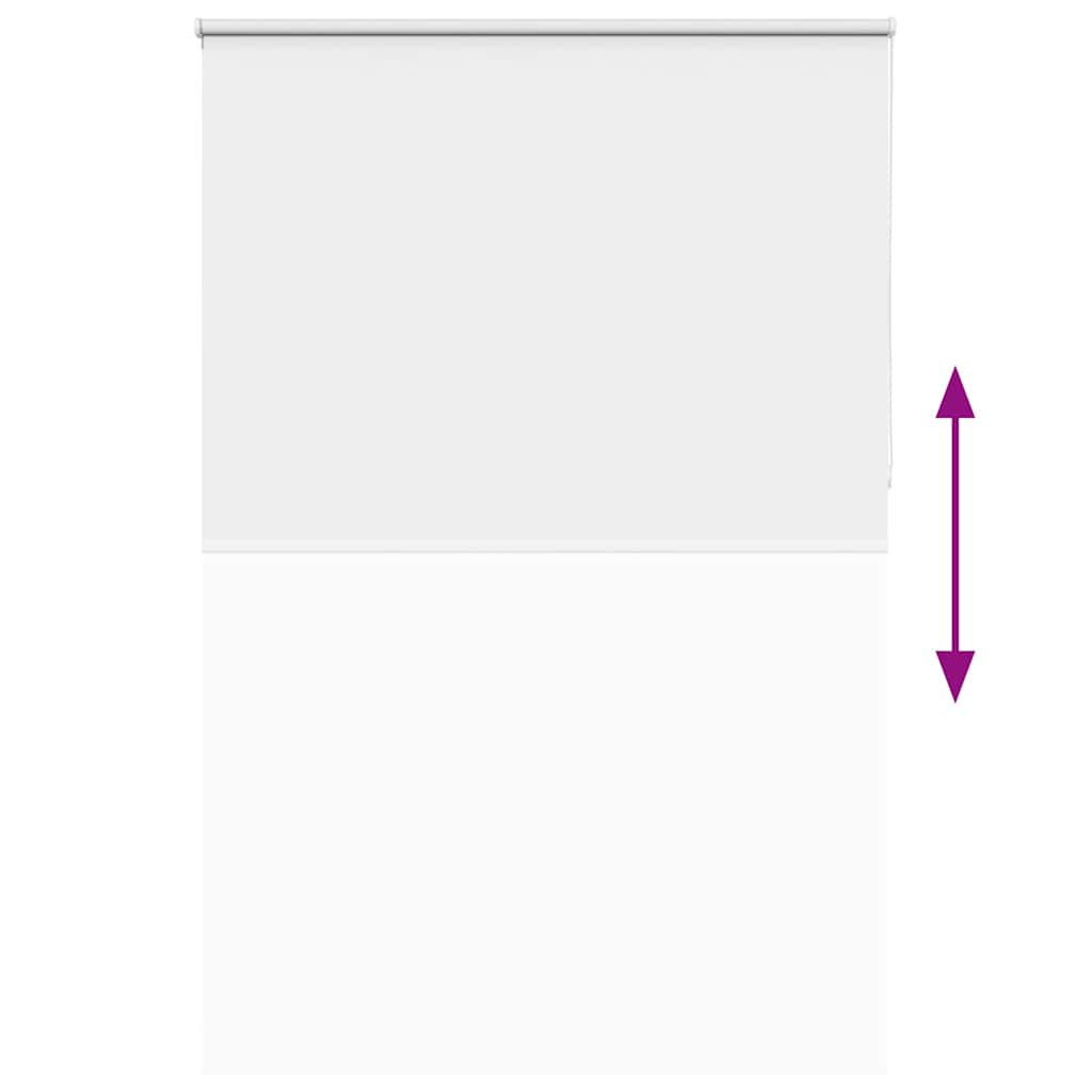 Tenda a Rullo Oscurante 165x210 cm Larghezza Tessuto 161,6 cm