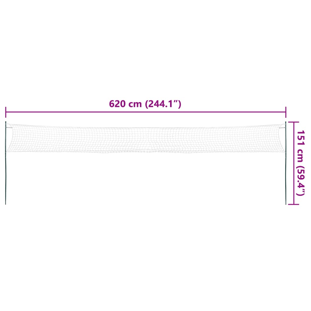 Set da Badminton con 4 Racchette e Rete 620x151 cm