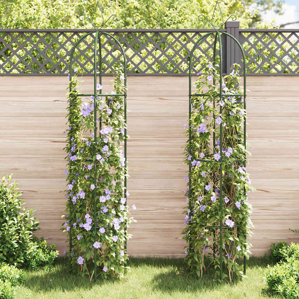 Set Torri ad Arco 2 pz per Piante Rampicanti da Giardino