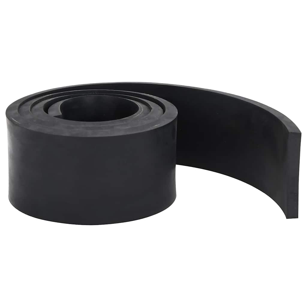 Bordo in Gomma per Spazzaneve Nero 200x10x1 cm