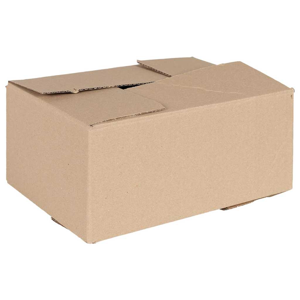 Scatola Pieghevole 50 pz Naturale 30 x 21,5 x 14 cm Cartone