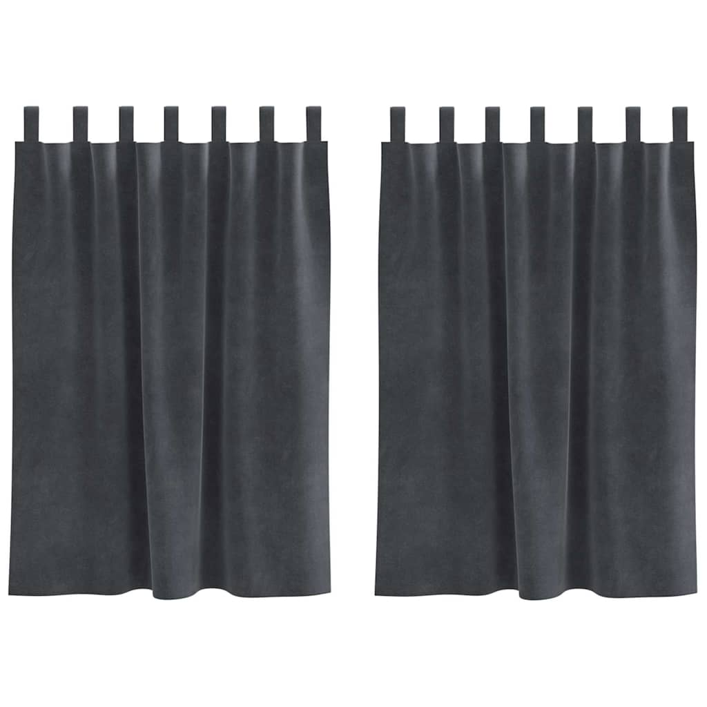 Tende 2 pz Grigio Chiaro 140 x 140 cm Velluto