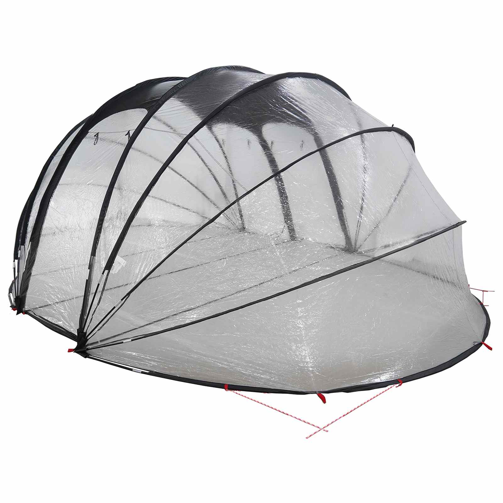 Tenda da piscina a cupola 538 x 440 x 204 cm PVC Trasparente