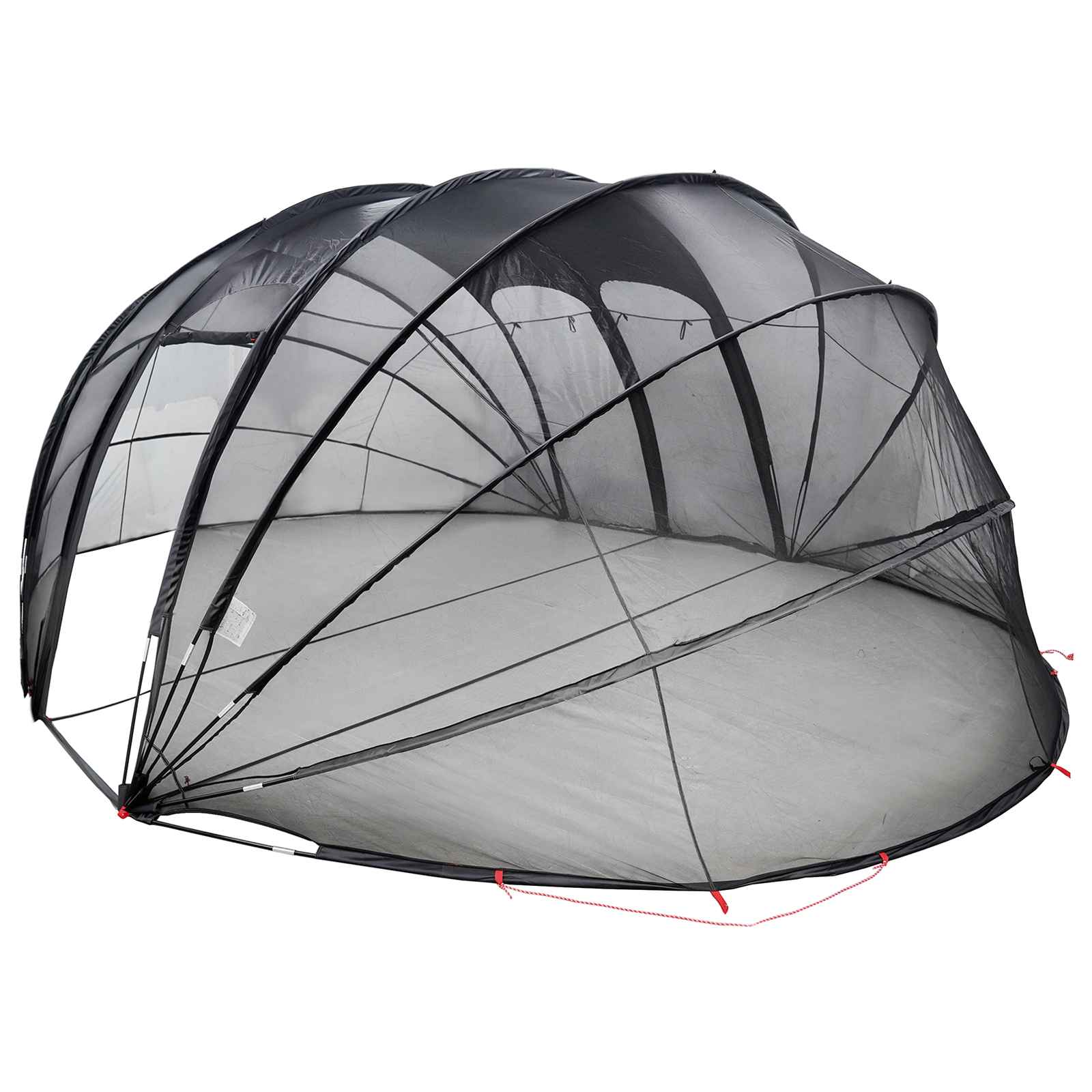 Tenda da piscina a cupola 538 x 440 x 204 cm Trasparente